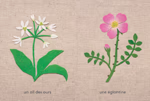 ail ours_eglantine.jpg